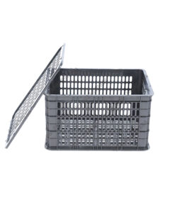 Rổ xoài – quýt