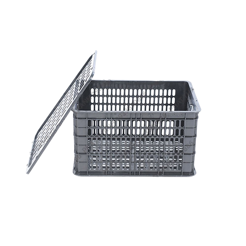 Rổ xoài – quýt 1 Rổ xoài – quýt